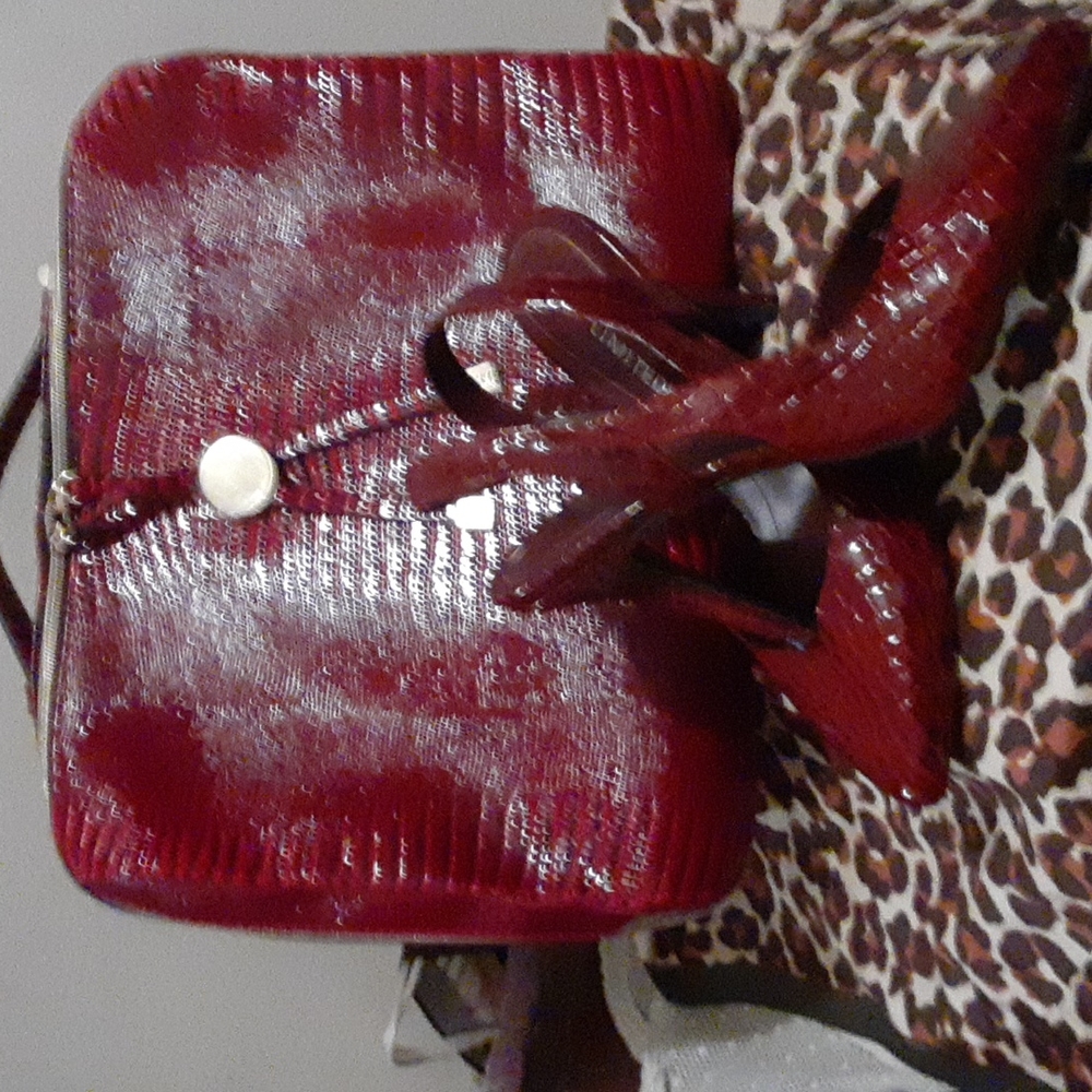 Matching Heels and Bag